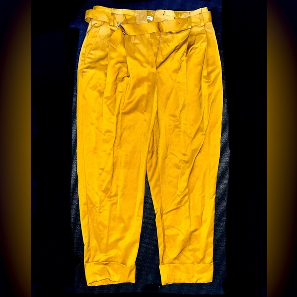 TEXTILE Elizabeth and James Pants - Elizabeth and James High Waisted Pants Yelliw Mustard Size 14